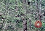 Image of Troops and equipment delivered by air United States USA, 1976, second 3 stock footage video 65675021079