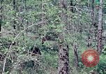 Image of Troops and equipment delivered by air United States USA, 1976, second 4 stock footage video 65675021079