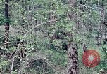Image of Troops and equipment delivered by air United States USA, 1976, second 5 stock footage video 65675021079