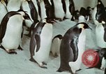 Image of Operation Deep Freeze United States USA, 1975, second 55 stock footage video 65675021084
