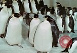 Image of Operation Deep Freeze United States USA, 1975, second 59 stock footage video 65675021084