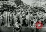 Immagine di La liberazione di Parigi Parigi Francia, 1944, secondo 9 filmato di repertorio 65675021089