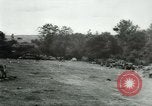 Immagine di Prigionieri tedeschi Francia, 1944, secondo 4 filmato di repertorio 65675021090
