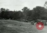 Immagine di Prigionieri tedeschi Francia, 1944, secondo 6 filmato di repertorio 65675021090