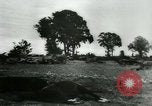 Immagine di Prigionieri tedeschi Francia, 1944, secondo 15 filmato di repertorio 65675021090