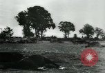 Immagine di Prigionieri tedeschi Francia, 1944, secondo 16 filmato di repertorio 65675021090