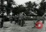 Immagine di Prigionieri tedeschi Francia, 1944, secondo 57 filmato di repertorio 65675021090