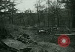 Immagine di Incidente aereo Memphis Tennessee USA, 1947, secondo 8 filmato di repertorio 65675021111