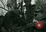 Immagine di Incidente aereo Memphis Tennessee USA, 1947, secondo 13 filmato di repertorio 65675021111