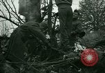 Immagine di Incidente aereo Memphis Tennessee USA, 1947, secondo 14 filmato di repertorio 65675021111
