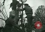 Immagine di Incidente aereo Memphis Tennessee USA, 1947, secondo 15 filmato di repertorio 65675021111