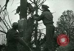 Immagine di Incidente aereo Memphis Tennessee USA, 1947, secondo 16 filmato di repertorio 65675021111