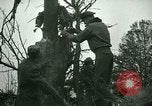 Immagine di Incidente aereo Memphis Tennessee USA, 1947, secondo 17 filmato di repertorio 65675021111