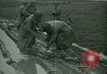 Standbild United States Army Engineers Holland Niederlande, 1944, aus Sekunde 6 historischem Filmmaterial Videoclip 65675021124