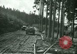Standbild United States Army Engineers Holland Niederlande, 1944, aus Sekunde 34 historischem Filmmaterial Videoclip 65675021124