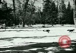 Image of Annual Fur Breeders Exhibition Alberta Canada, 1946, second 7 stock footage video 65675021127