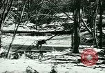 Image of Annual Fur Breeders Exhibition Alberta Canada, 1946, second 8 stock footage video 65675021127
