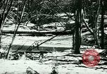 Image of Annual Fur Breeders Exhibition Alberta Canada, 1946, second 9 stock footage video 65675021127