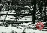 Image of Annual Fur Breeders Exhibition Alberta Canada, 1946, second 11 stock footage video 65675021127