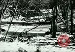 Image of Annual Fur Breeders Exhibition Alberta Canada, 1946, second 12 stock footage video 65675021127