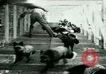 Image of Annual Fur Breeders Exhibition Alberta Canada, 1946, second 17 stock footage video 65675021127