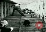 Image of Annual Fur Breeders Exhibition Alberta Canada, 1946, second 18 stock footage video 65675021127