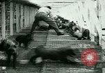 Image of Annual Fur Breeders Exhibition Alberta Canada, 1946, second 21 stock footage video 65675021127