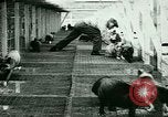 Image of Annual Fur Breeders Exhibition Alberta Canada, 1946, second 22 stock footage video 65675021127