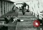 Image of Annual Fur Breeders Exhibition Alberta Canada, 1946, second 23 stock footage video 65675021127