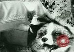 Image of Annual Fur Breeders Exhibition Alberta Canada, 1946, second 26 stock footage video 65675021127