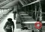Image of Annual Fur Breeders Exhibition Alberta Canada, 1946, second 32 stock footage video 65675021127