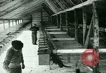 Image of Annual Fur Breeders Exhibition Alberta Canada, 1946, second 33 stock footage video 65675021127