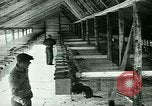 Image of Annual Fur Breeders Exhibition Alberta Canada, 1946, second 34 stock footage video 65675021127