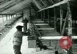 Image of Annual Fur Breeders Exhibition Alberta Canada, 1946, second 35 stock footage video 65675021127