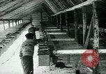 Image of Annual Fur Breeders Exhibition Alberta Canada, 1946, second 36 stock footage video 65675021127