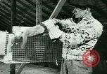 Image of Annual Fur Breeders Exhibition Alberta Canada, 1946, second 37 stock footage video 65675021127