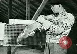 Image of Annual Fur Breeders Exhibition Alberta Canada, 1946, second 39 stock footage video 65675021127