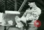 Image of Annual Fur Breeders Exhibition Alberta Canada, 1946, second 41 stock footage video 65675021127