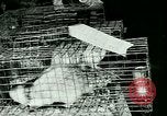 Image of Annual Fur Breeders Exhibition Alberta Canada, 1946, second 47 stock footage video 65675021127