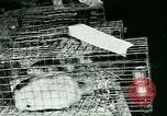 Image of Annual Fur Breeders Exhibition Alberta Canada, 1946, second 48 stock footage video 65675021127