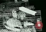 Image of Annual Fur Breeders Exhibition Alberta Canada, 1946, second 49 stock footage video 65675021127