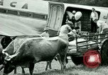 Image Mining par air Siuna Nicaragua, 1946, de la seconde 8 séquences d'archives historiques vidéo 65675021132