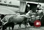Image Mining par air Siuna Nicaragua, 1946, de la seconde 9 séquences d'archives historiques vidéo 65675021132