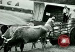 Image Mining par air Siuna Nicaragua, 1946, de la seconde 10 séquences d'archives historiques vidéo 65675021132