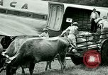 Image Mining par air Siuna Nicaragua, 1946, de la seconde 11 séquences d'archives historiques vidéo 65675021132
