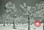 Image of Skiing in Spain Spain, 1946, second 7 stock footage video 65675021133