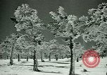 Image of Skiing in Spain Spain, 1946, second 9 stock footage video 65675021133