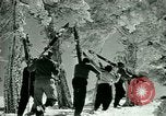 Image of Skiing in Spain Spain, 1946, second 33 stock footage video 65675021133