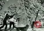 Image of Skiing in Spain Spain, 1946, second 37 stock footage video 65675021133