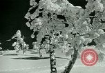 Image of Skiing in Spain Spain, 1946, second 39 stock footage video 65675021133